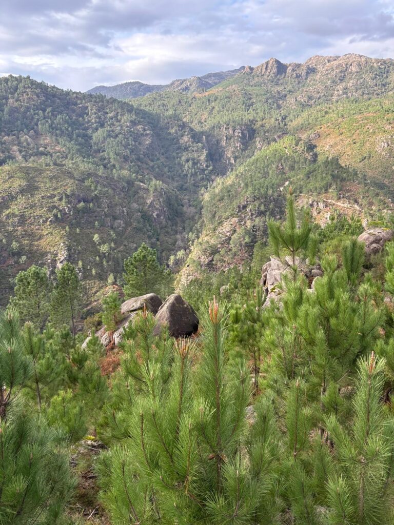 Miradouro-de-Fafião-4